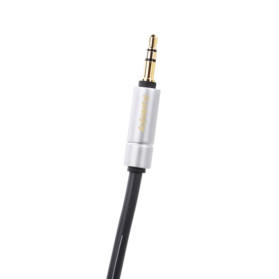 3.5mm to 2 RCA Audio Cable (3M)