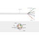 Cat6A Unshielded Patch Cable